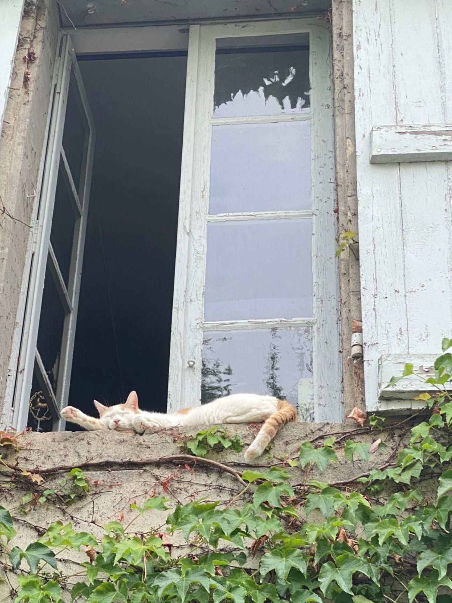 Au Jardin Y Bed & Breakfast Moissac Exterior foto